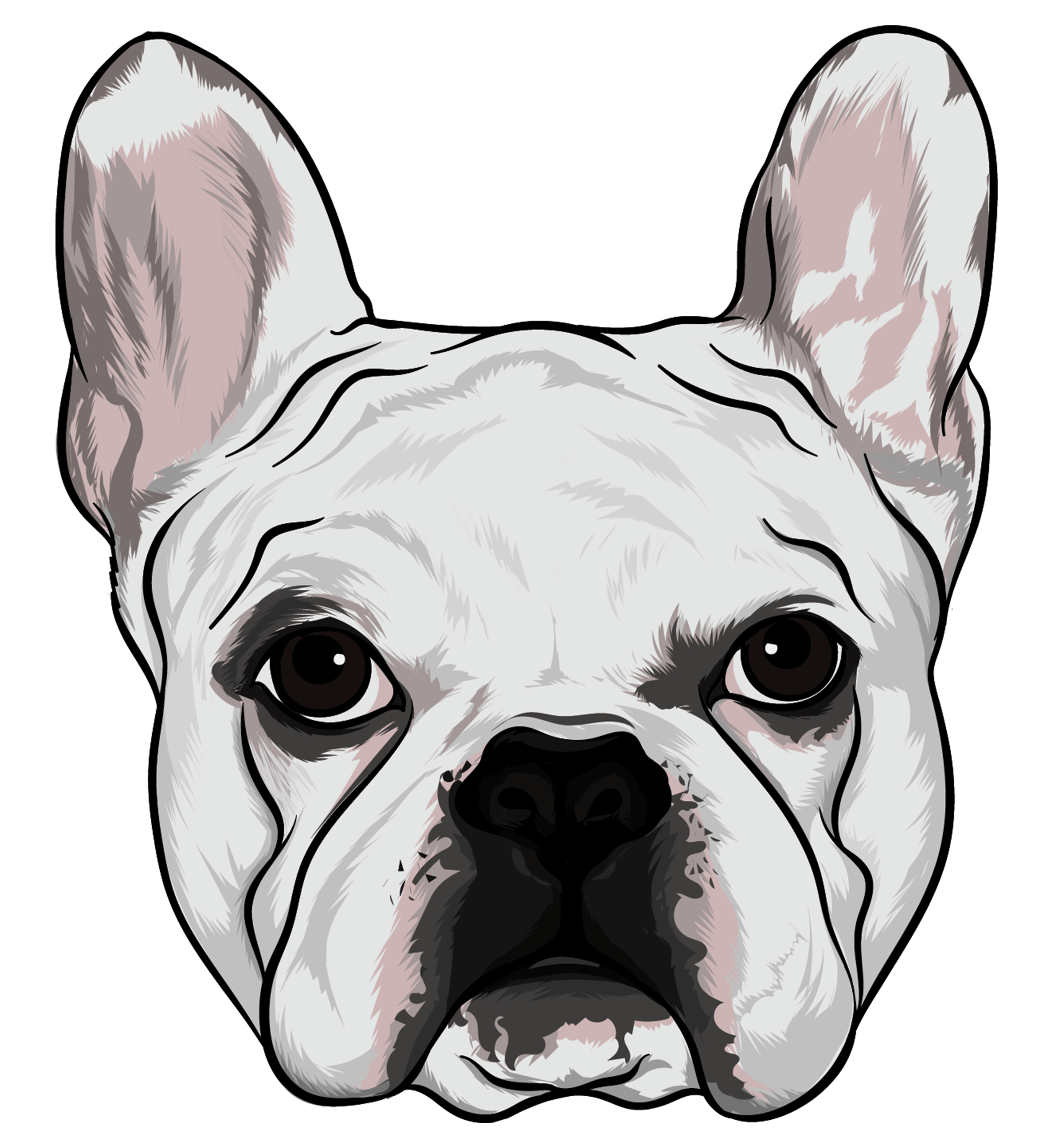 Why Choose Bulldog Plumbers? Fort Lauderdale